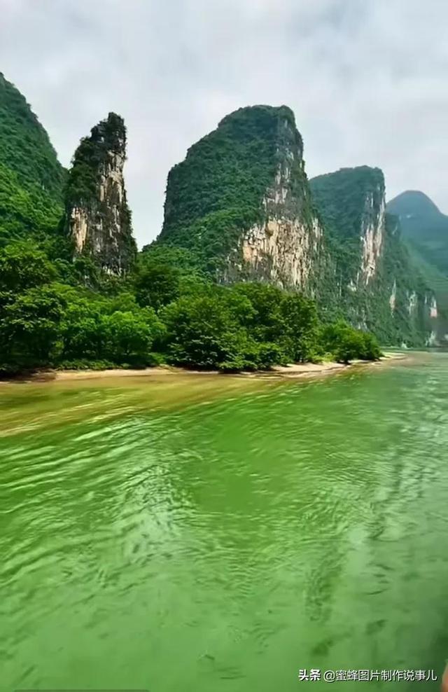 萌即正义,收容所里的猫咪被招募为警员,走马上任成为当地明星猫